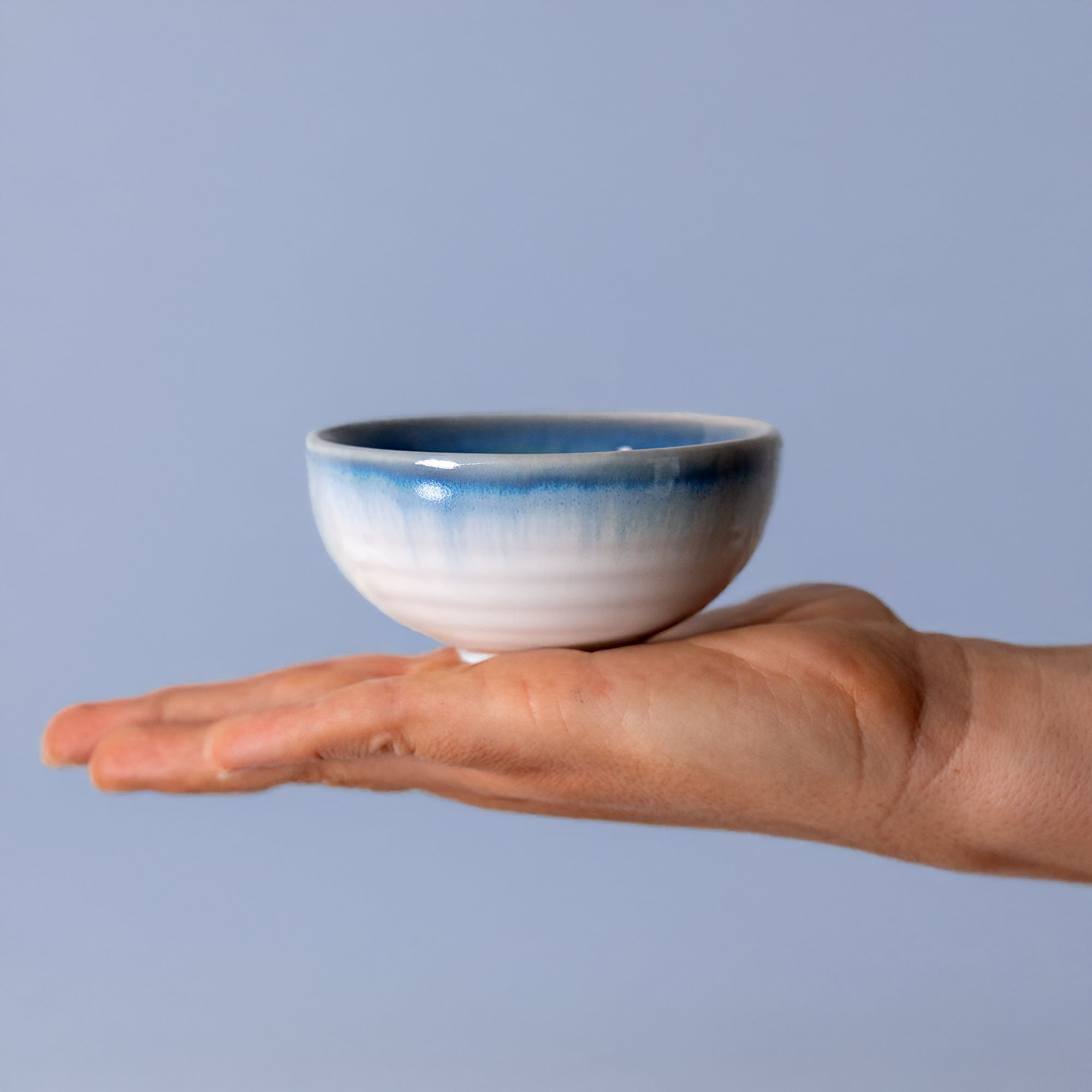 Condiment Bowl
