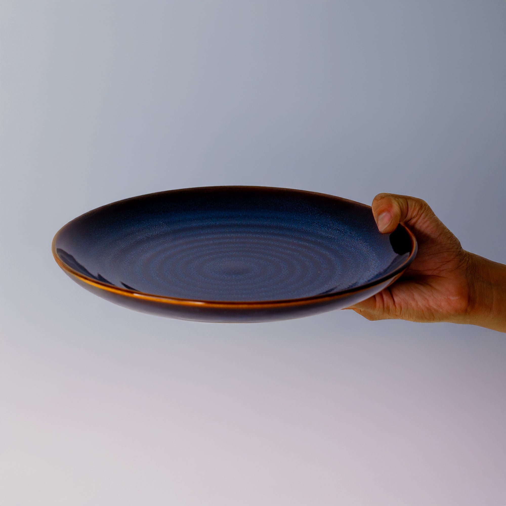 Pottery For The Planet Dinner Plate Merlin