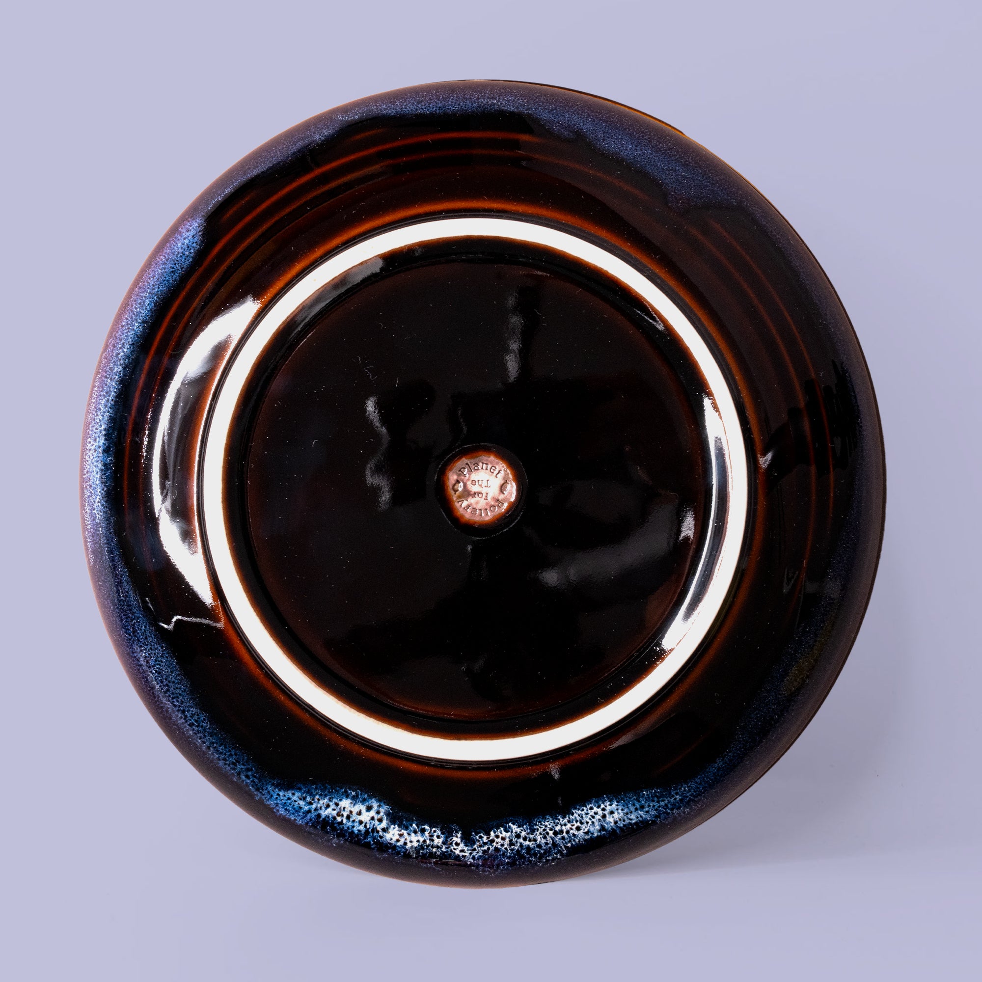 Pottery For The Planet Dinner Plate Merlin