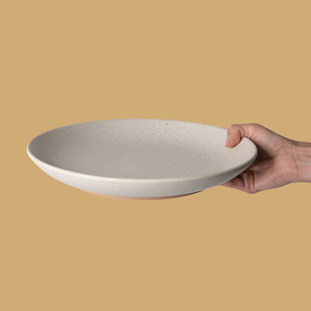 Dinner plate