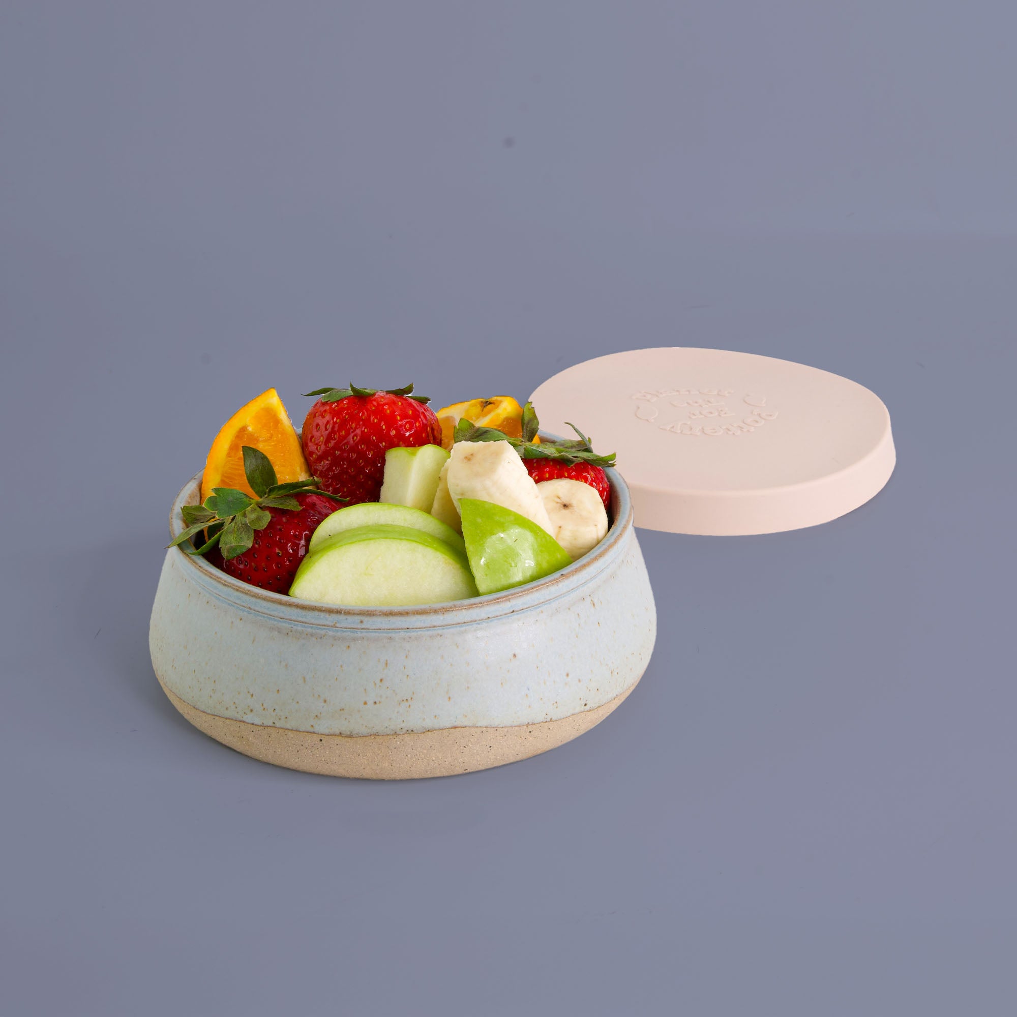 Silvermist Travel Bowl Small Size
