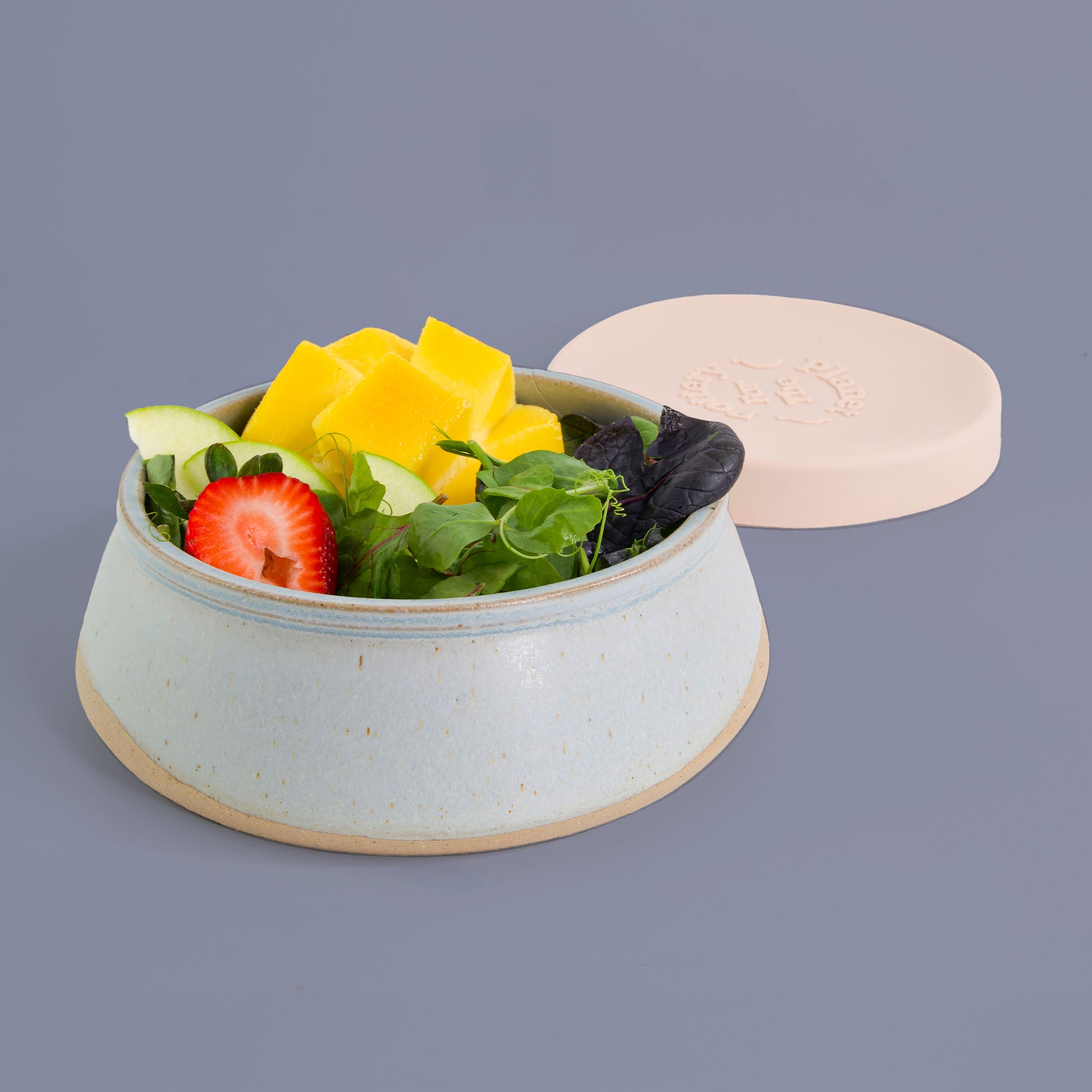 Silvermist Travel Bowl Large Size