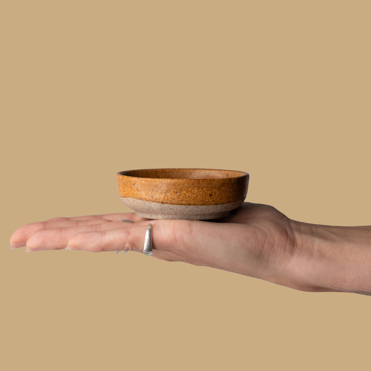 Condiment Bowl