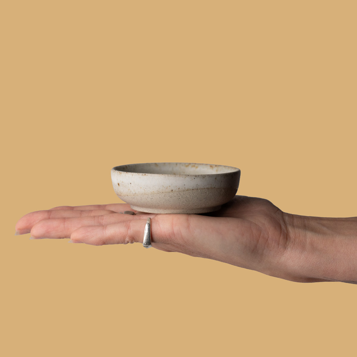Condiment Bowl