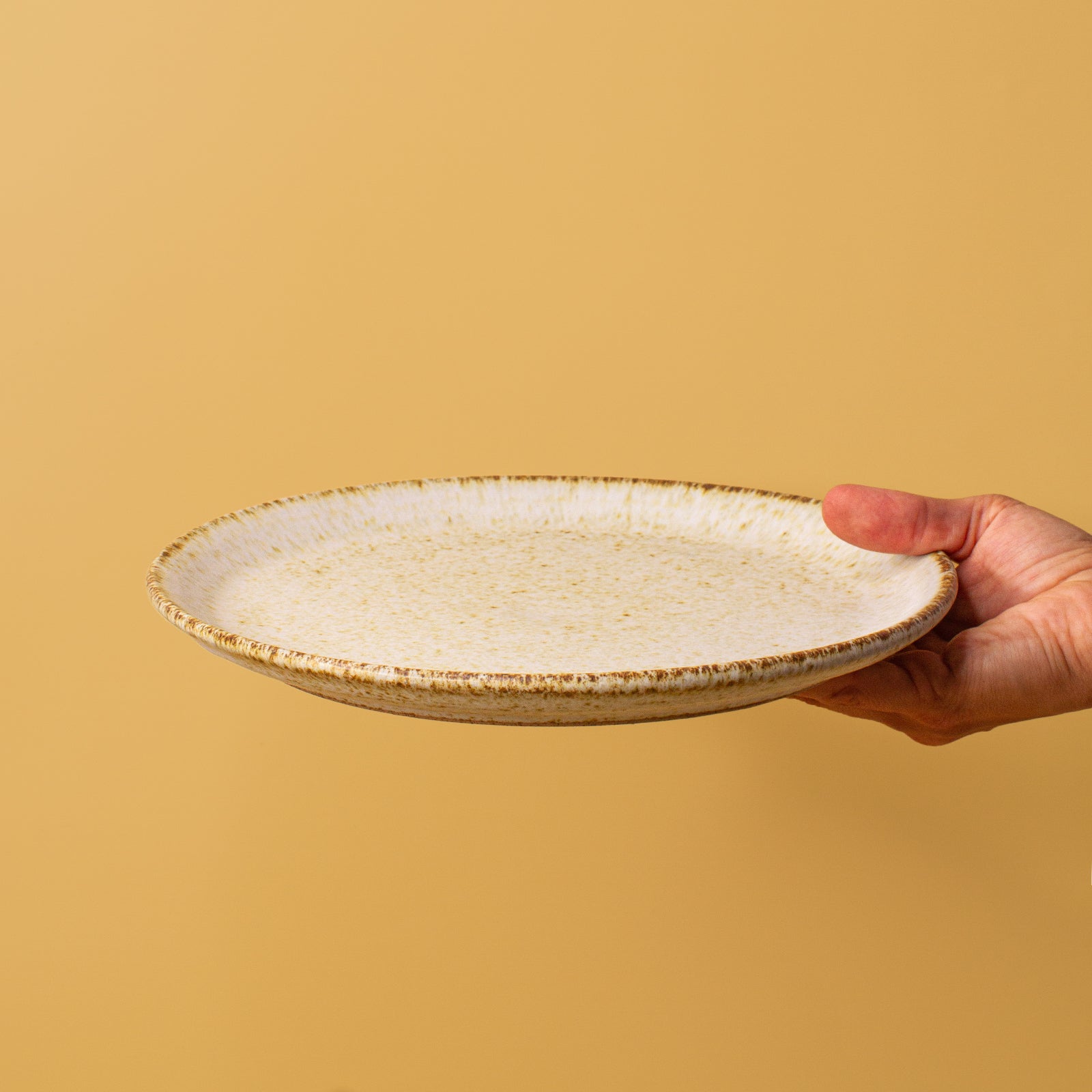 Pottery For The Planet Dinner Plate Tableware Dinnerware
