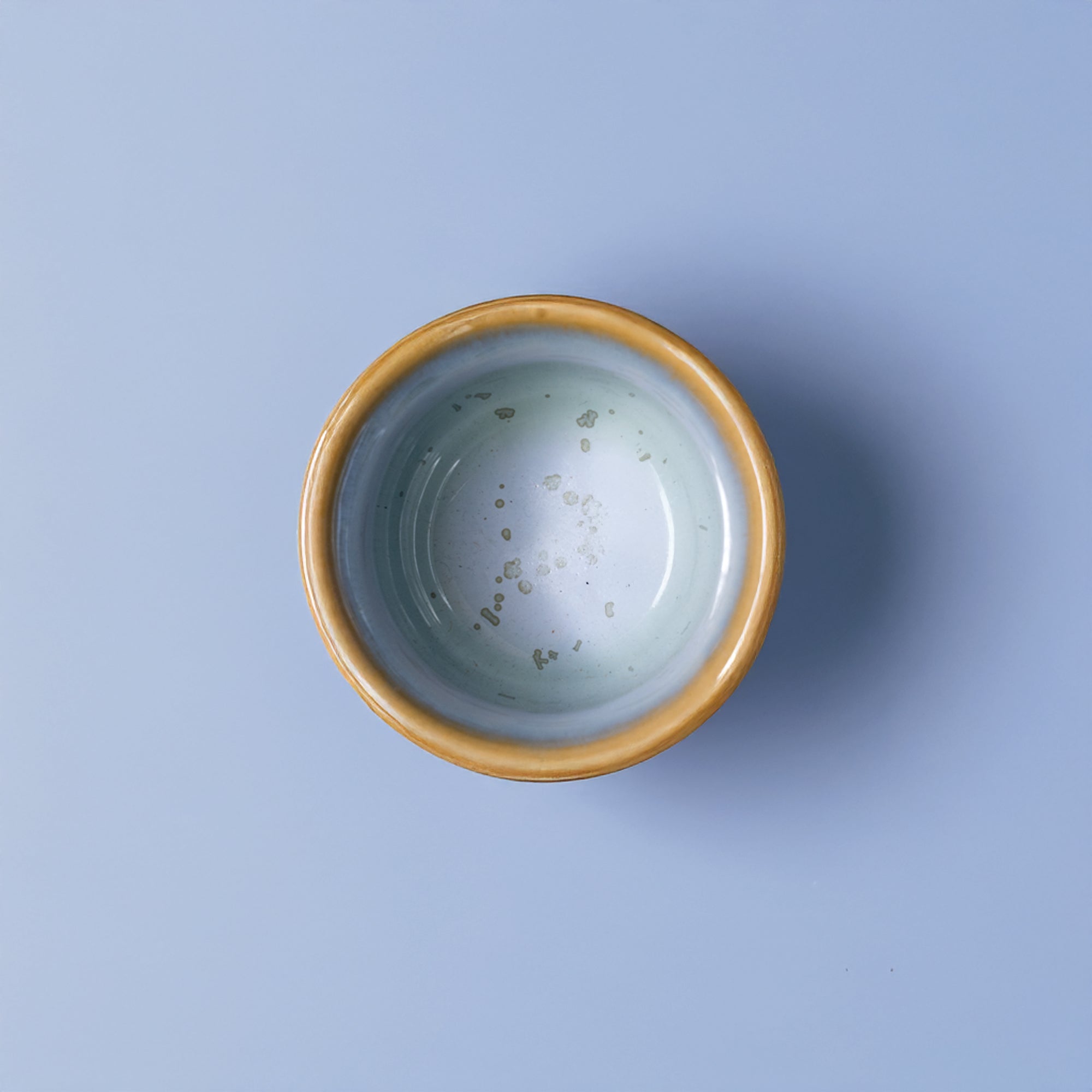 Condiment Bowl