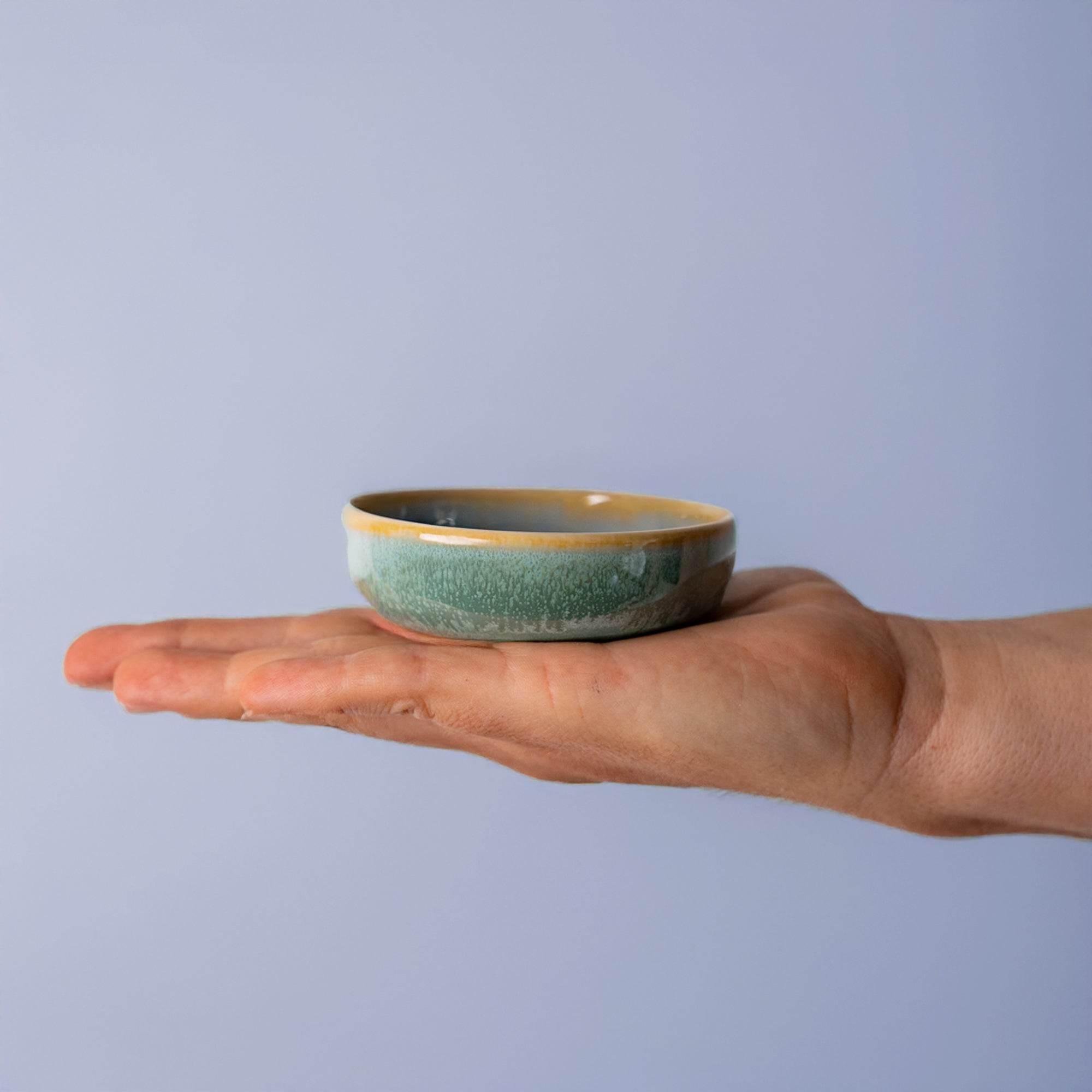 Condiment Bowl