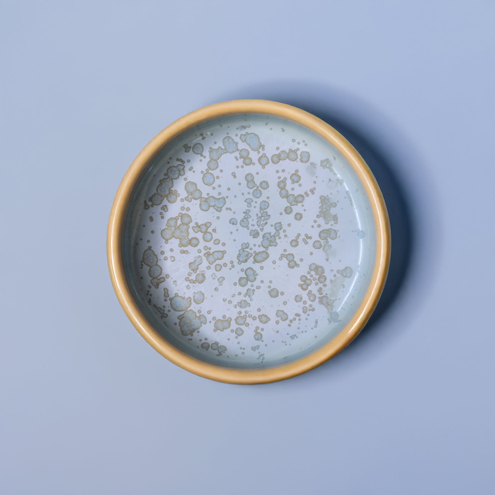 Condiment Bowl