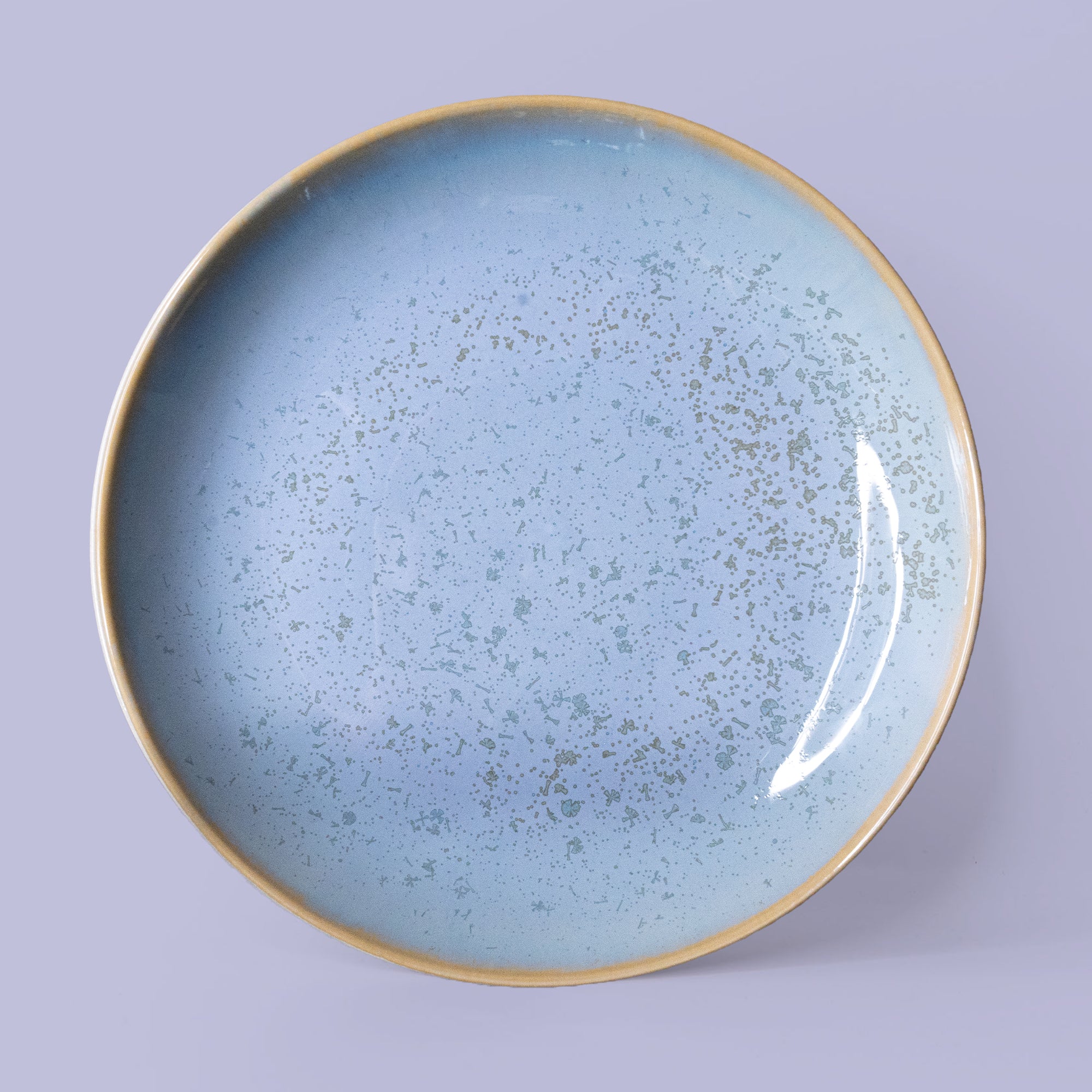 Pottery For The Planet Dinner Plate Ocean Jasper