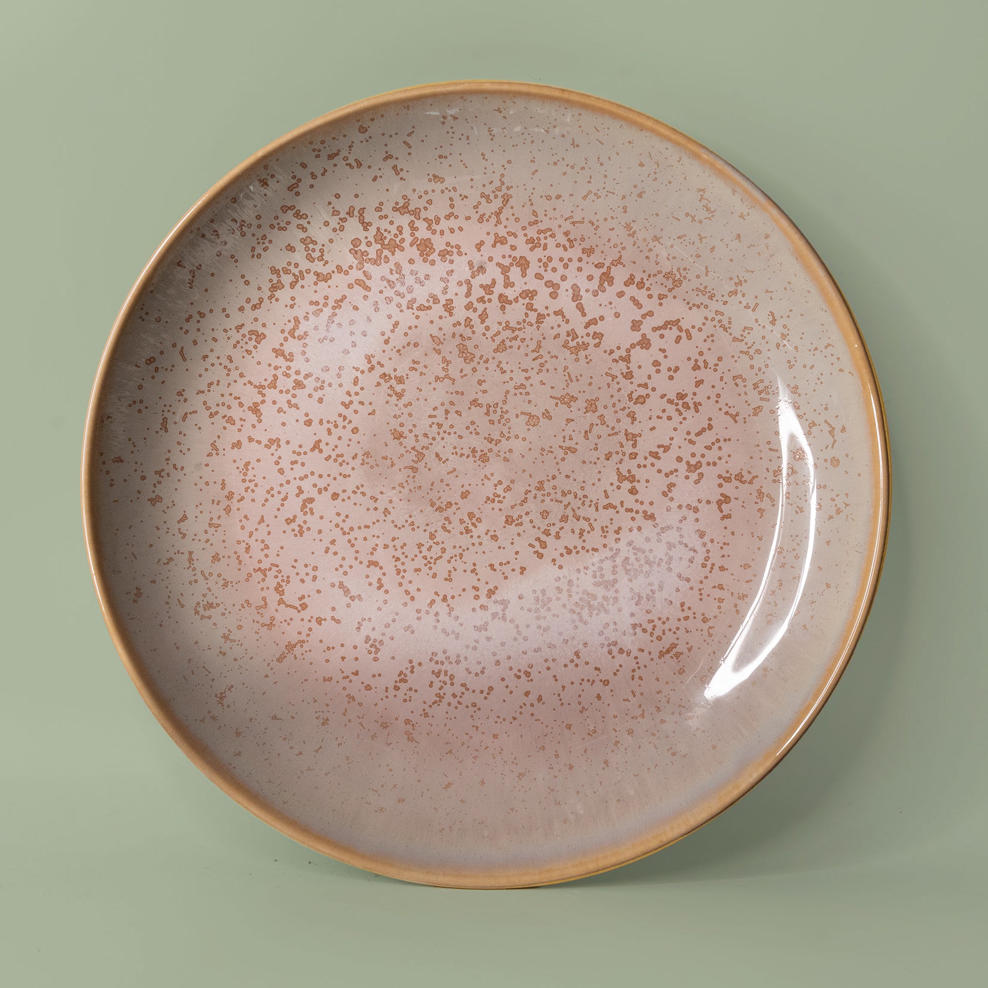 Pottery For The Planet Dinner Plate Rainforest Jasper