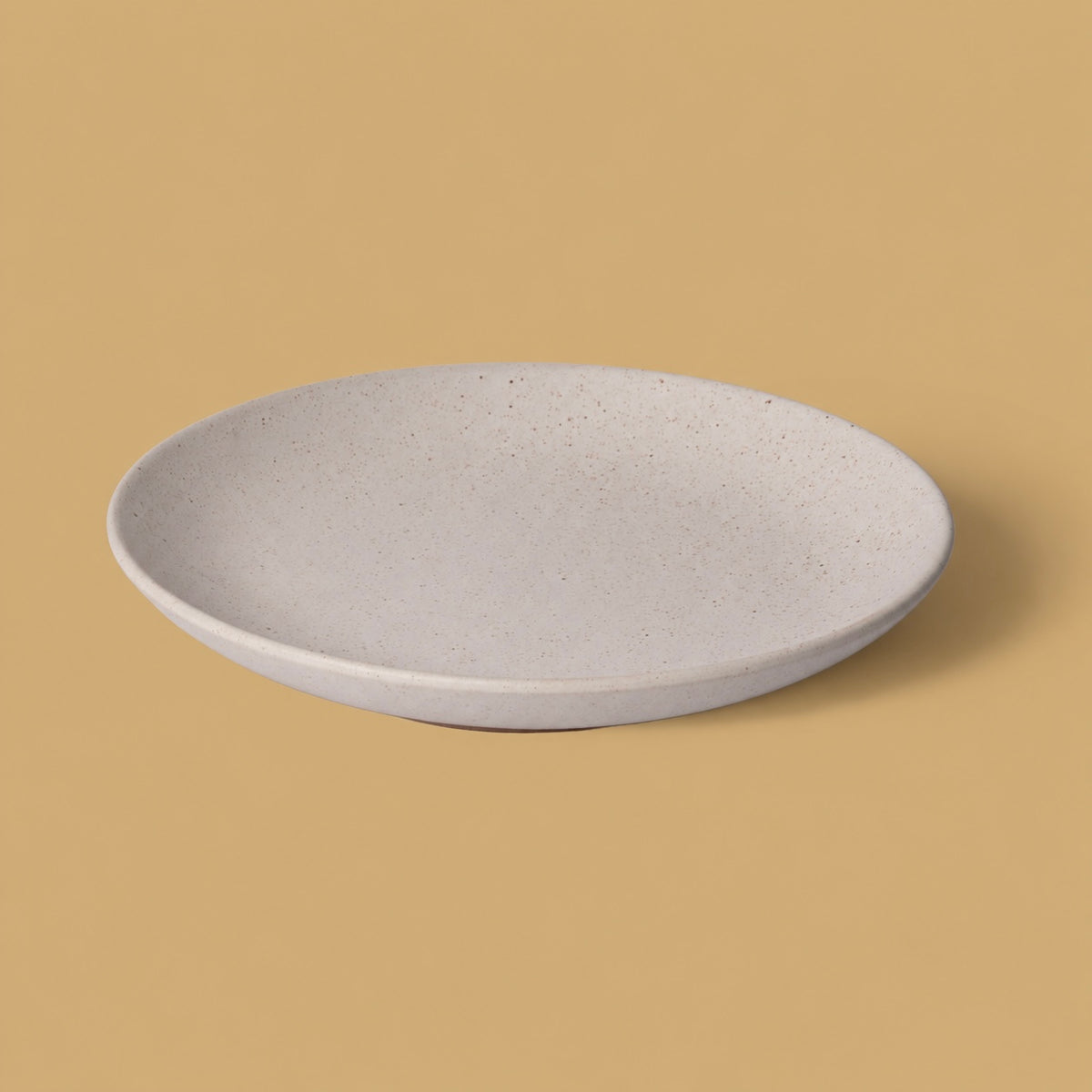 Dinner plate