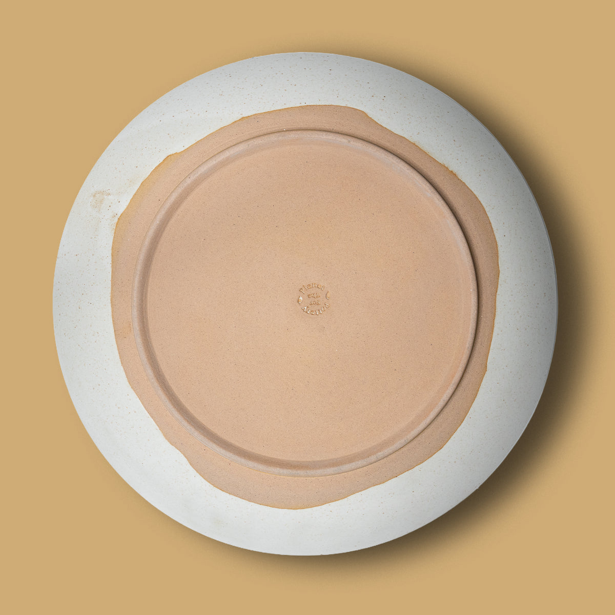 Dinner plate