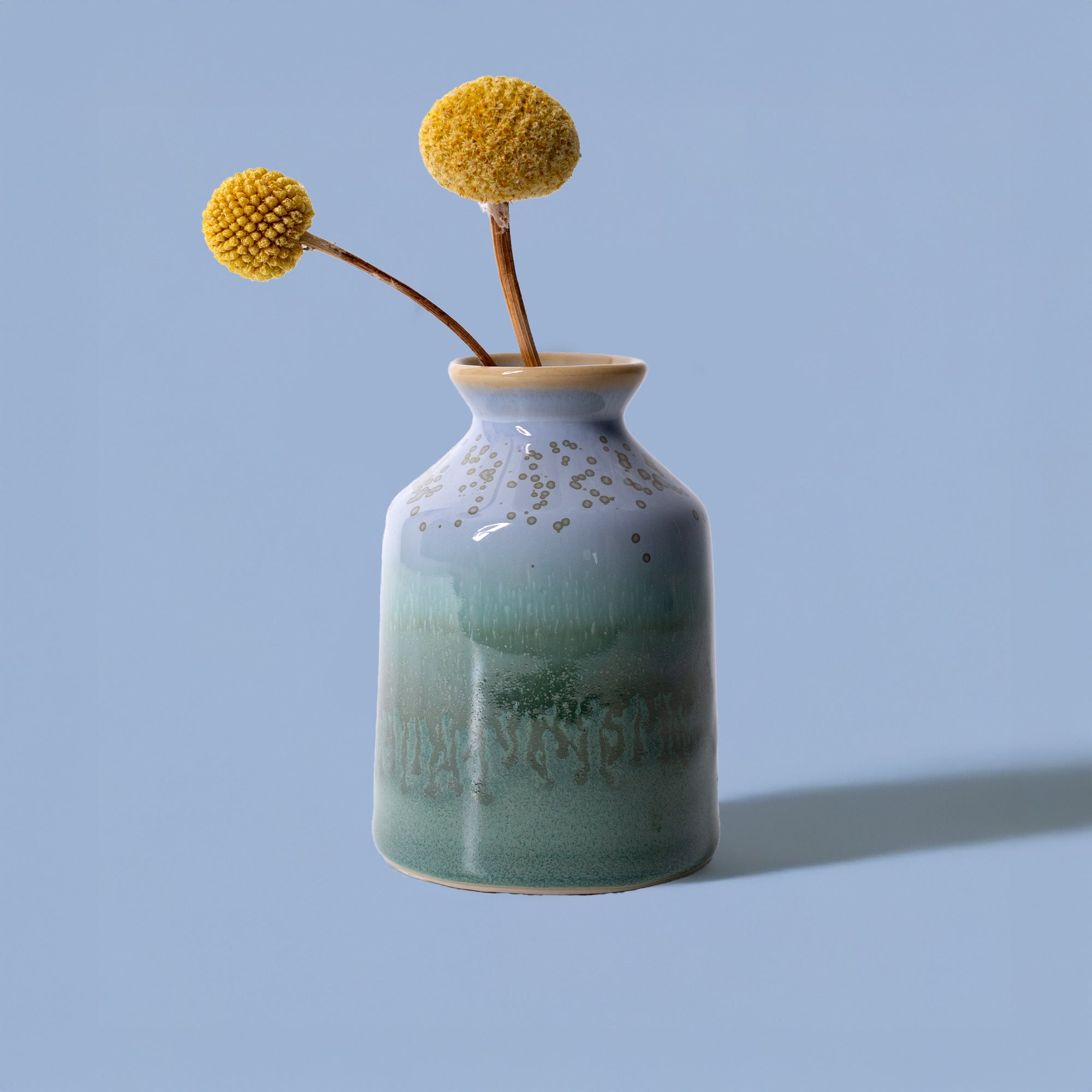 Mini Bottle Vase