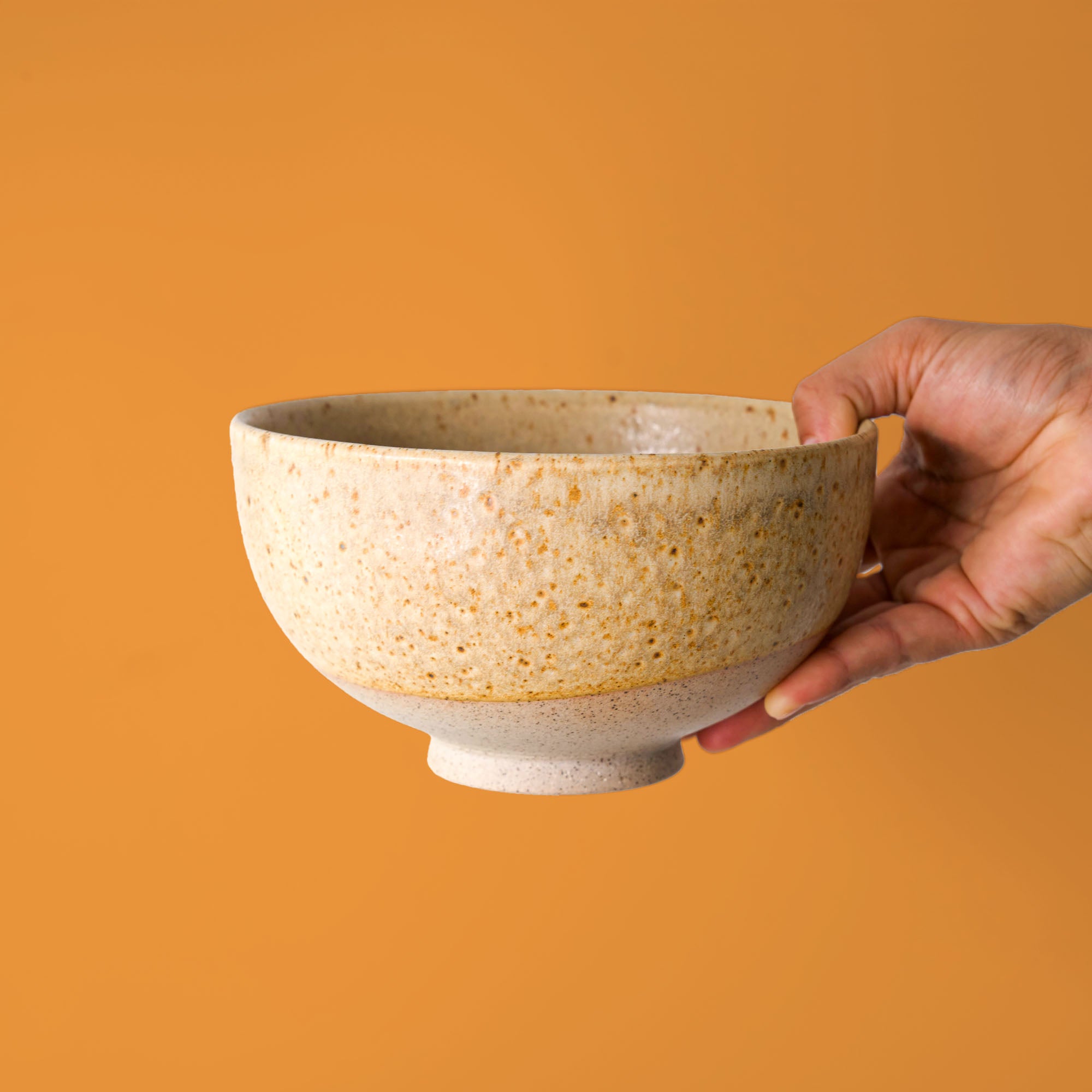 Lost In New York Noodle Bowl