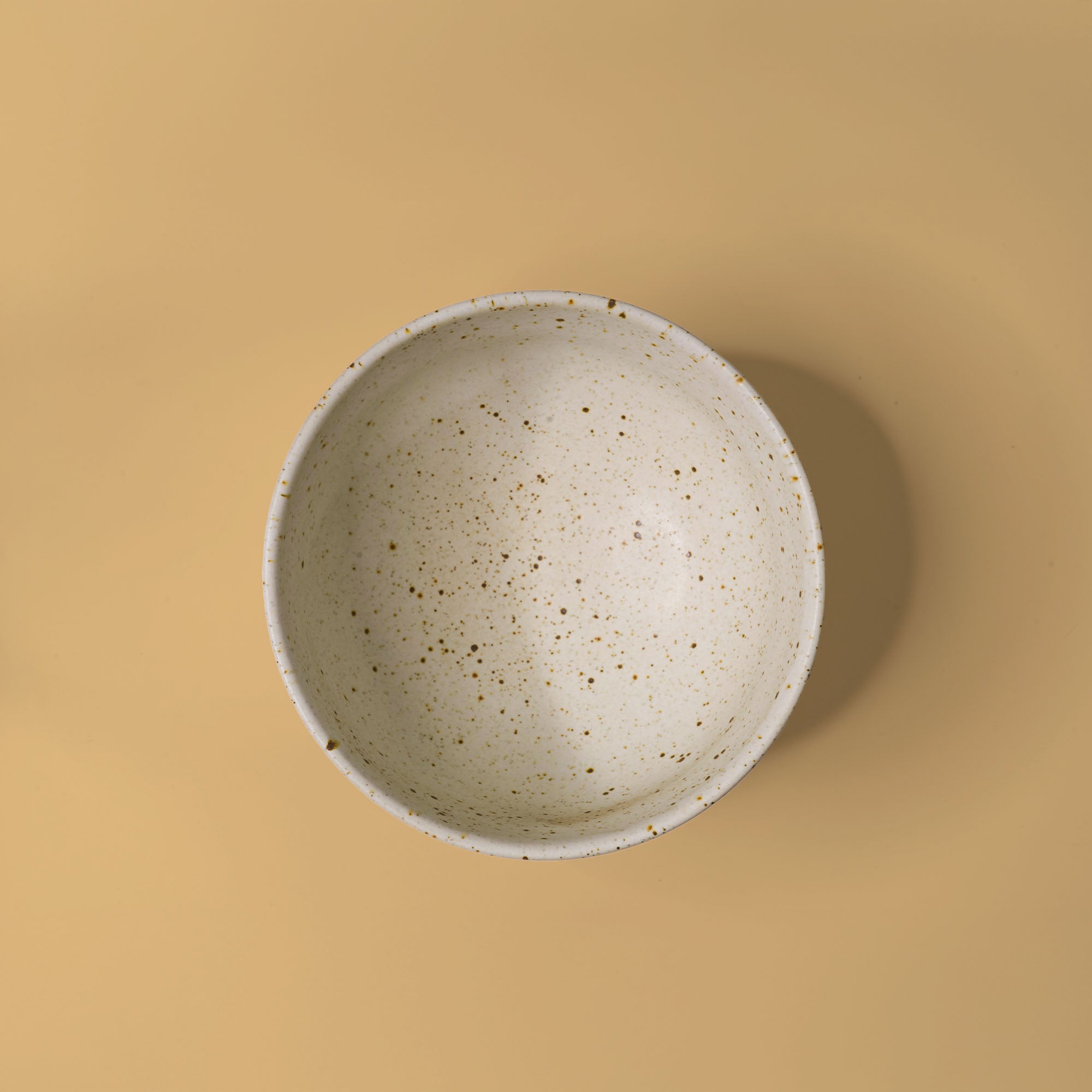 Sandy Noodle Bowl 