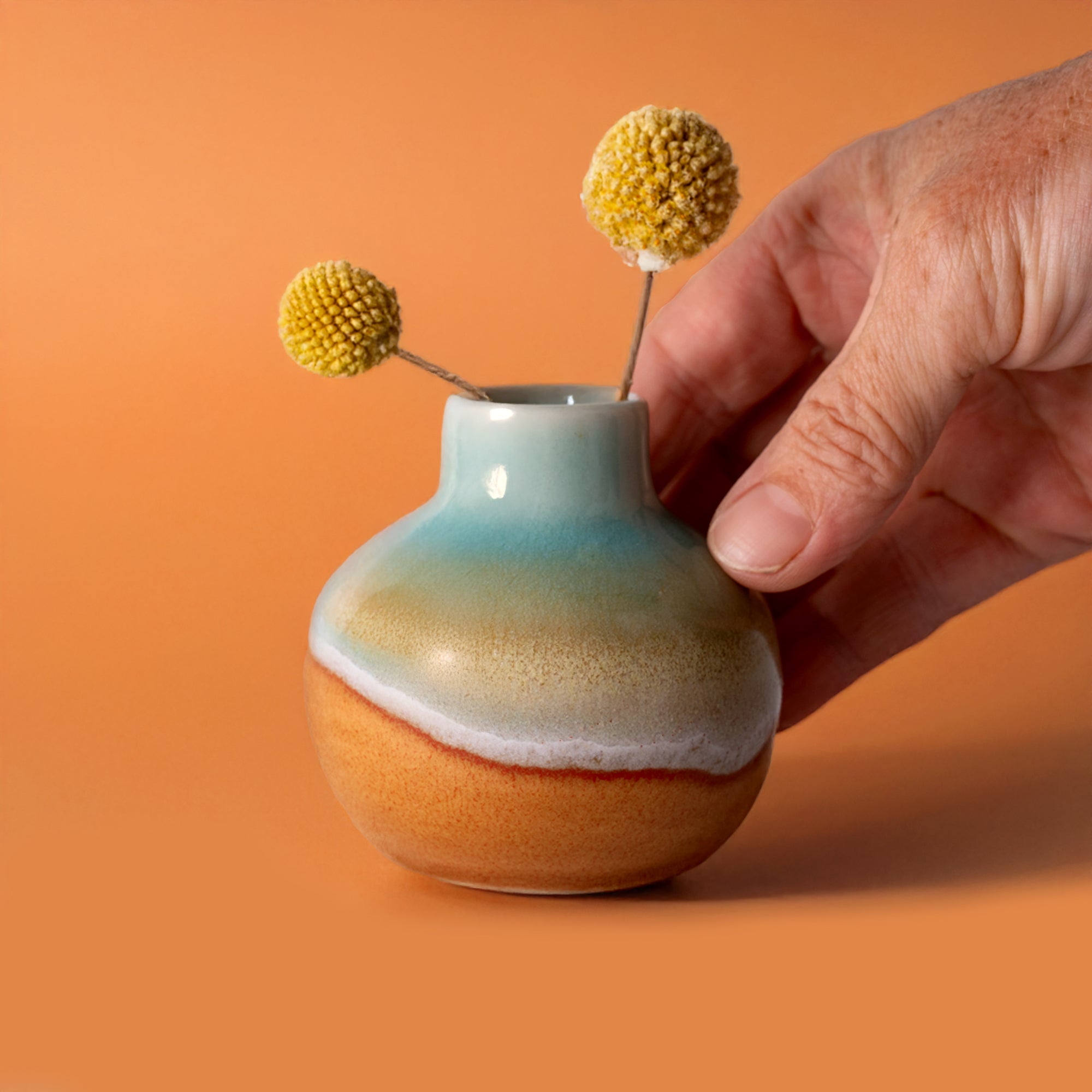 Obelia Ceramic Vase