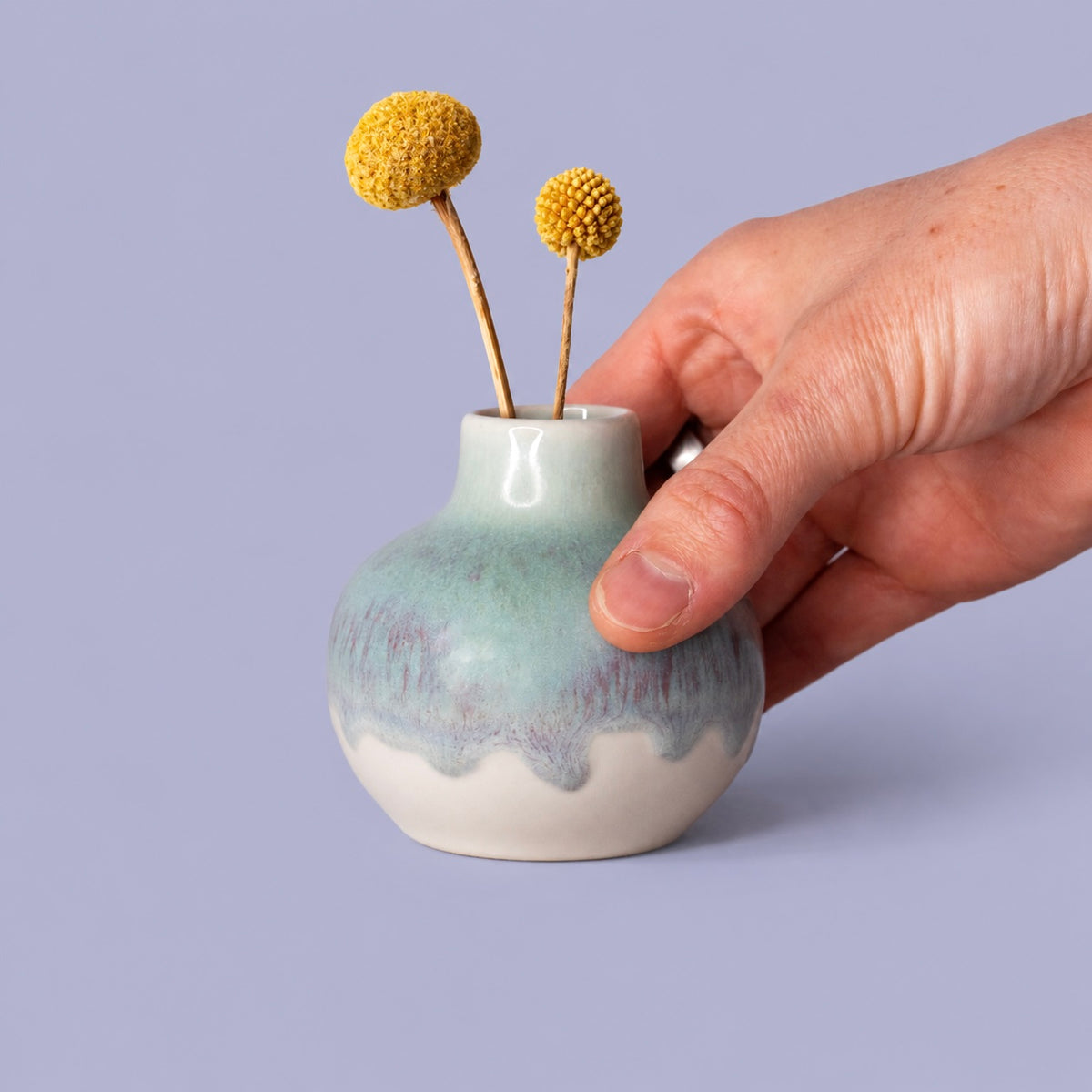 Obelia Vase