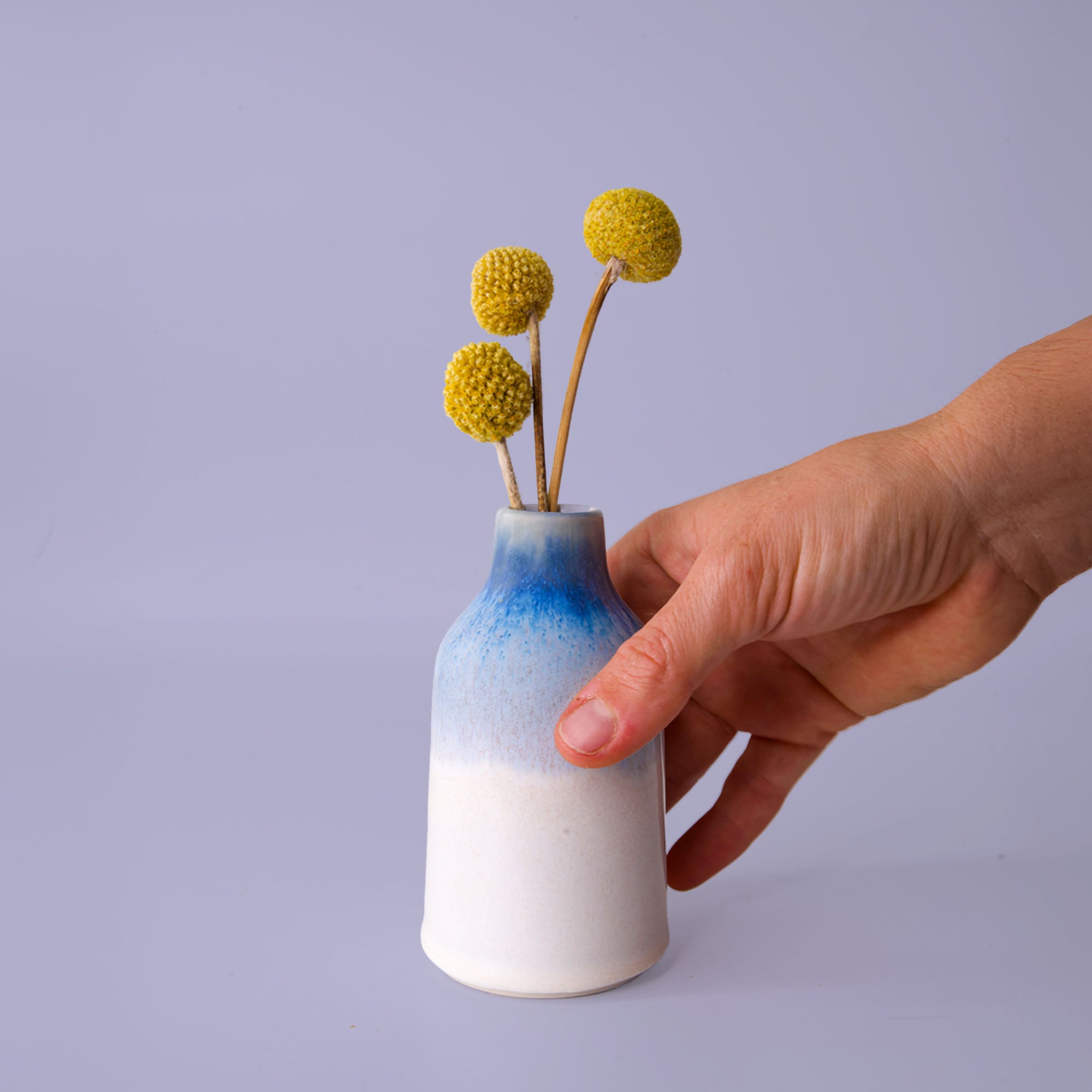Hand holding a blue and white ceramic modern decorative flower vase with yellow billy ball flowers