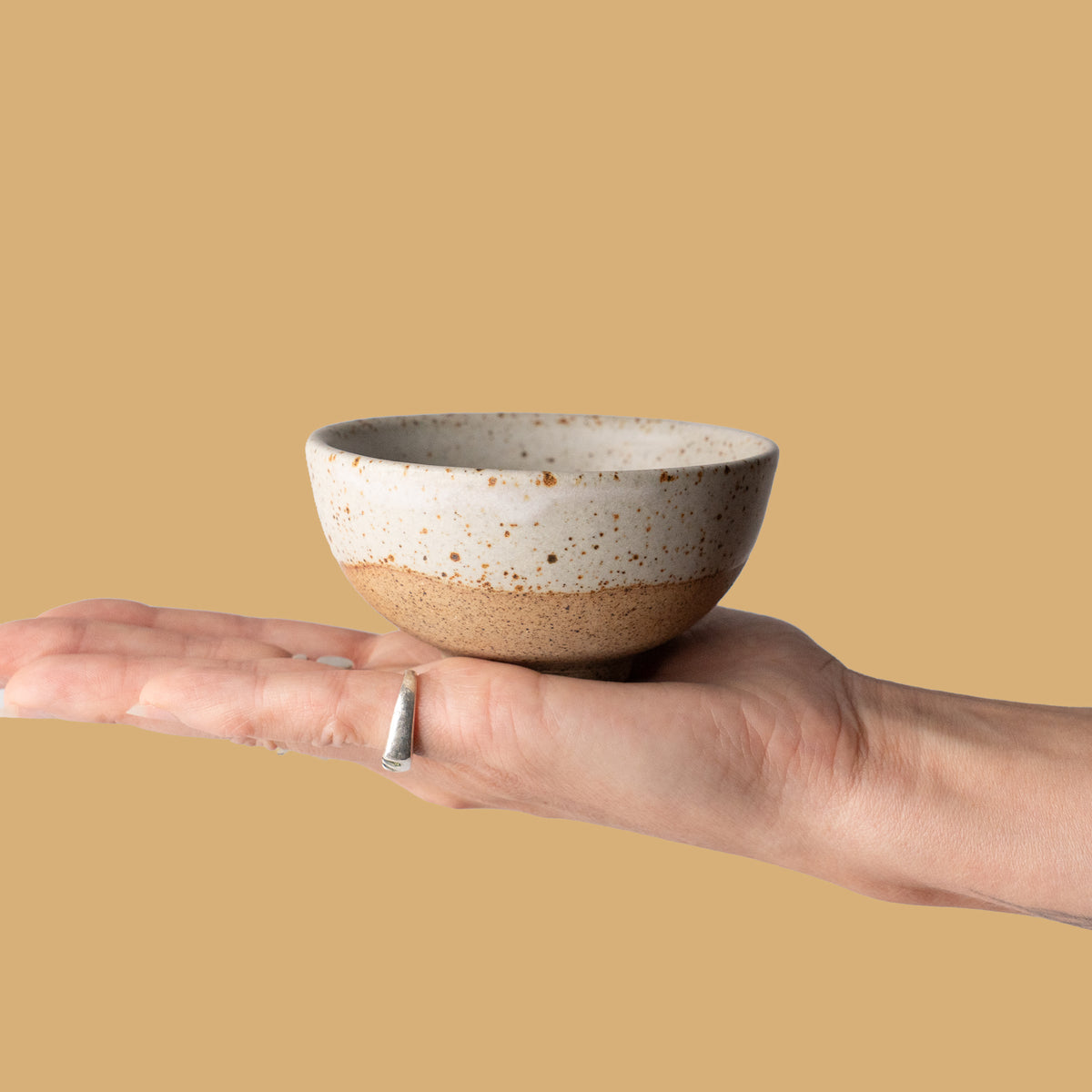 Condiment Bowl Set