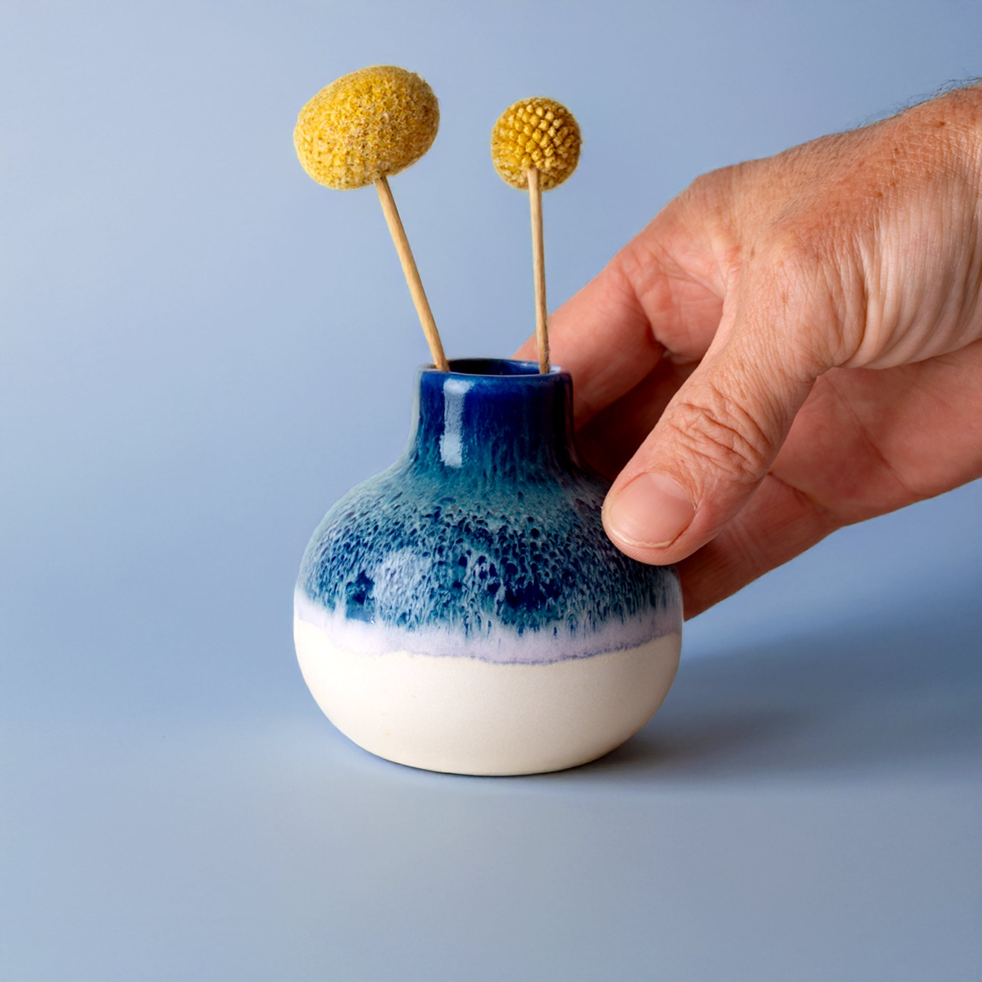 Obelia Ceramic Vase