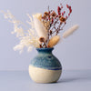 Small Blue and white Ceramic vase