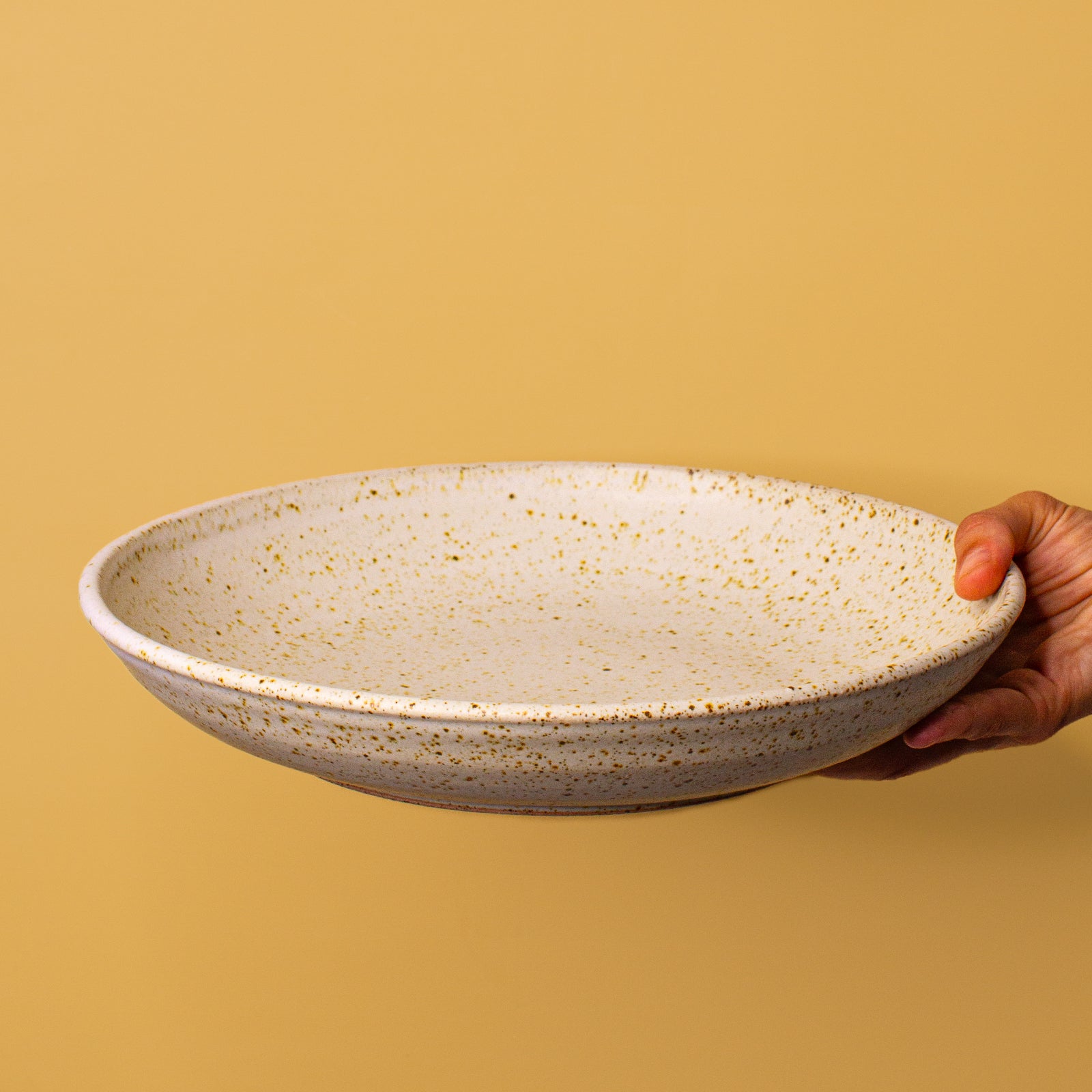 Pottery For The Planet Serving Plate Dinnerware Tableware Ceramic