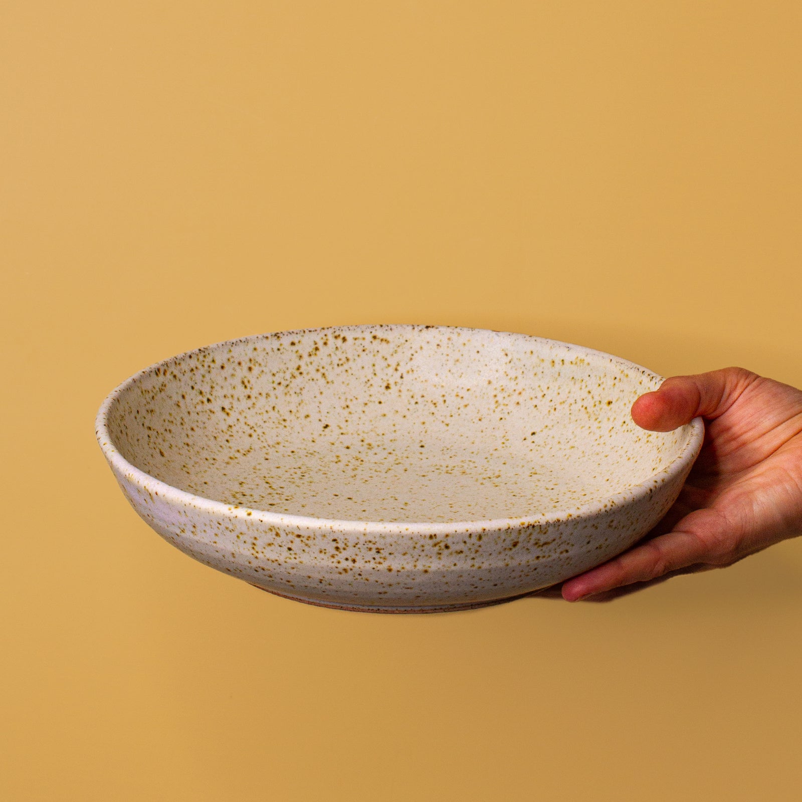 Pottery For The Planet Serving Plate Dinnerware Tableware Ceramic