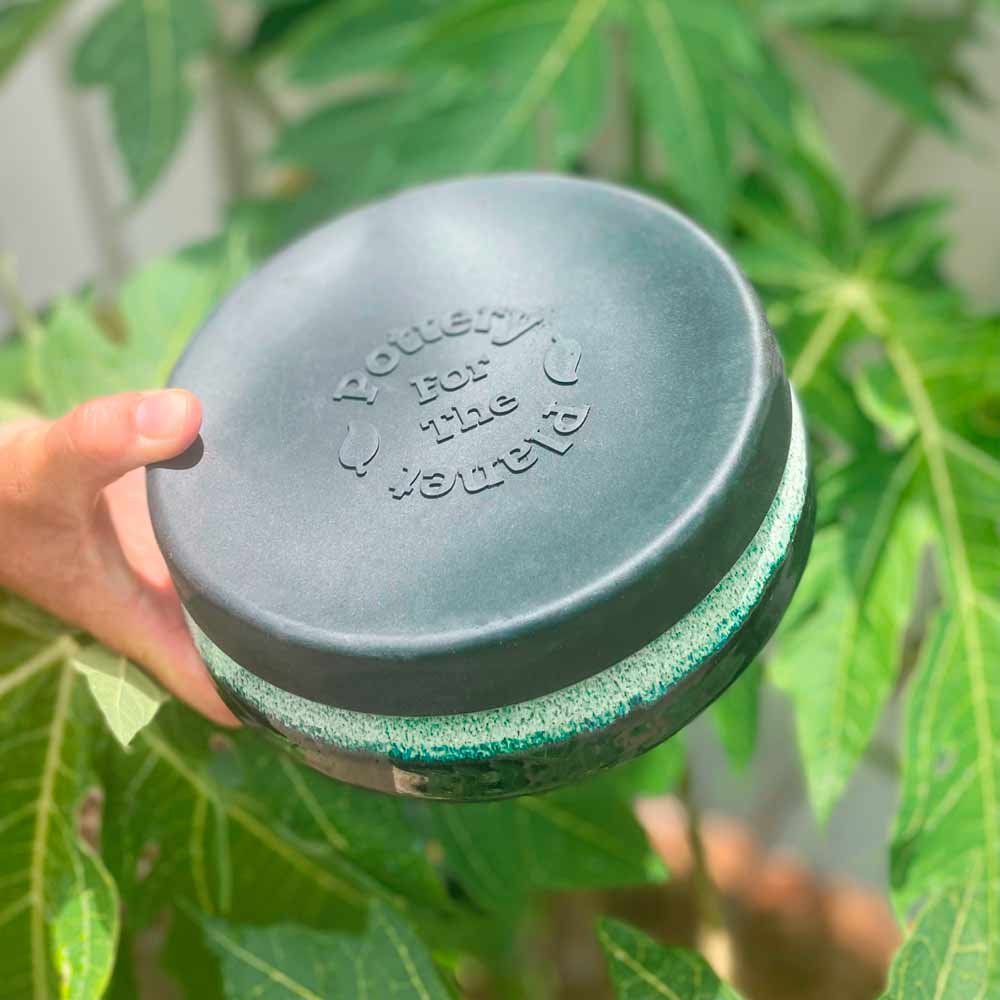 Pottery For The Planet Travel Bowl Sexy Lime Being Held Near Bush